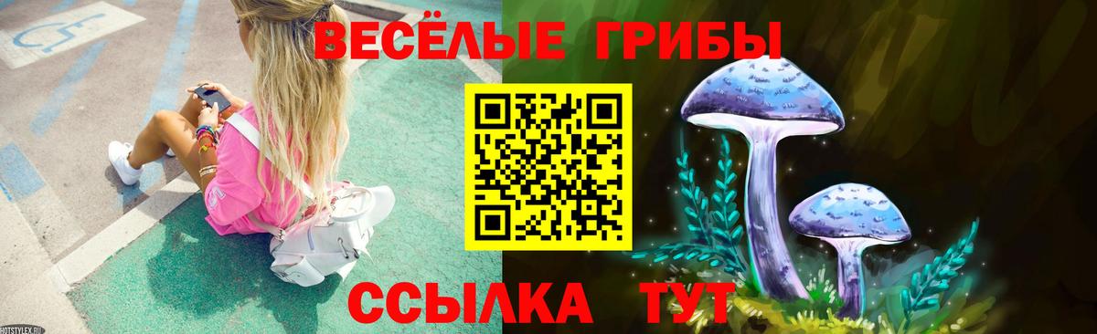 Псилоцибиновые грибы Psilocybine cubensis Ейск